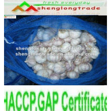 2012 chinese fresh garlic market price